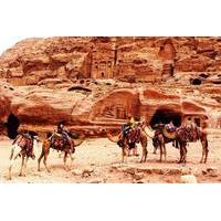 Petra Full Day Tour from Amman
