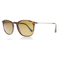 persol 3124s sunglasses havana 2457 polariserade