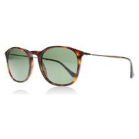 Persol 3124S Sunglasses Havana 24/31