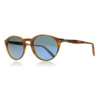 persol terri di siena sunglasses brown 900656