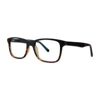 Penguin Eyeglasses THE WEBLO BK/TO