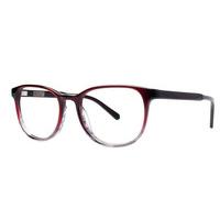 Penguin Eyeglasses THE TETER RR