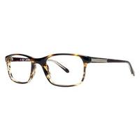 Penguin Eyeglasses THE CARMICHAEL TO