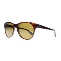 persol po3134s 2457 havana