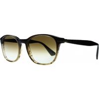 Persol PO3150S 102651 Brown Transparent