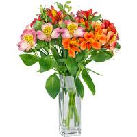 Peruvian Paradise Bouquet