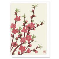 peach blossom greeting card