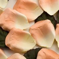Peach Ombre Rose Petals