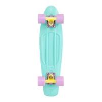 penny pastel complete skateboard mint 22