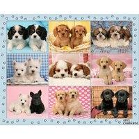 perfect pups xxl 200pc jigsaw puzzle