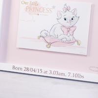 Personalised Disney Birth Date Wall Plaque