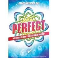 perfect the ultimate mum