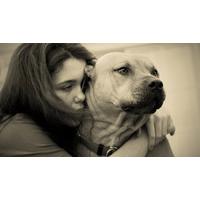 Pet Bereavement Counselling Online Course