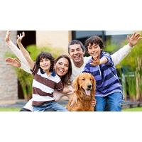 Pet Adoption Online Course
