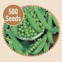 Peas Ambassador 500 Seeds