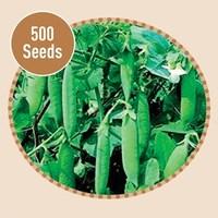 Peas Kelvedon Wonder 500 Seeds