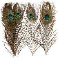 Peacock Craft Feathers (Pack of 10)