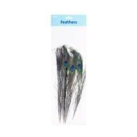 Peacock Feathers 4 Pack