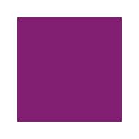 Pebeo Vitrail Paints 250ml Colours. Purple. Each