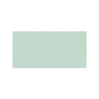 Peppermint Gloss Oblong (PRG43) Tiles - 200x100x6.5mm