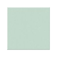 Peppermint Gloss Large (PRG43) Tiles - 200x200x6.5mm