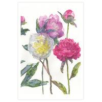 Peonies Tea Towel