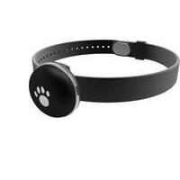 Pet Activity Monitor