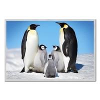 Penguin Family Poster Silver Framed - 96.5 x 66 cms (Approx 38 x 26 inches)