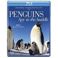penguins spy in the huddle dvd blu ray