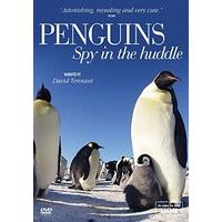 Penguins - Spy in the Huddle [DVD]