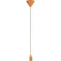 Pendant light E27 60 W Renkforce Plainly HG-024A Orange