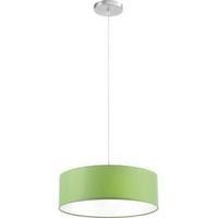 Pendant light LED E14 84 W Paul Neuhaus Shade 8426-43 Green