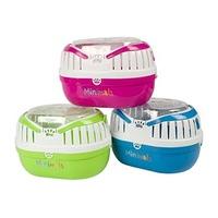 Pet Brands Animal Carrier Small-Assorted colors