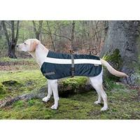 Petlife Flecta Hi-Vis Dog Jacket (61cm/24in) (Yellow)