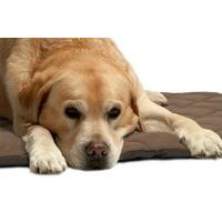 petlife flectabed q thermal pet bedding for dog cat 50 x 30 inch brown