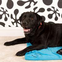 Personalised Pet Blanket