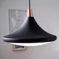 Pendant light hook in a trendy design