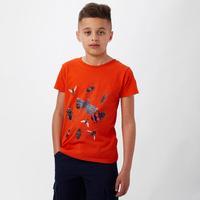 peter storm boys bug t shirt red red