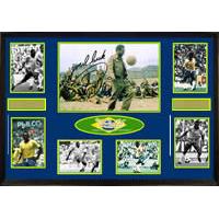 Pele - Large - Reel Star