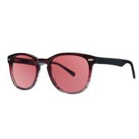 Penguin Sunglasses THE BRISCOE RR