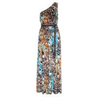 Peacock Printed Maxi Dress