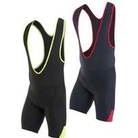 Pearl Izumi Quest Splice Bib Short