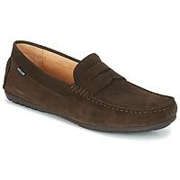 Pellet CADOR men\'s Loafers / Casual Shoes in brown