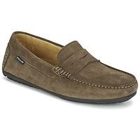 Pellet CADOR men\'s Loafers / Casual Shoes in brown