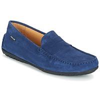 Pellet CADOR men\'s Loafers / Casual Shoes in blue