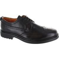 Peter Werth Oldman Brogue men\'s Casual Shoes in black