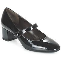 Perlato LOUNATE women\'s Court Shoes in black
