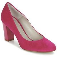 Perlato DELIO women\'s Court Shoes in pink