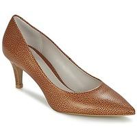 Perlato TORTOLA women\'s Court Shoes in brown
