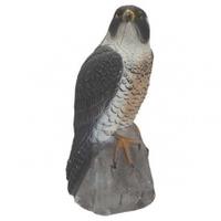 Peregrine Falcon Decoy